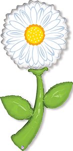 Fresh Picks White Daisy balloon by Betallic.