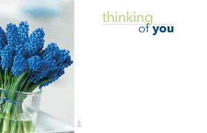 Enclosure Card Thinking of You Simply You
