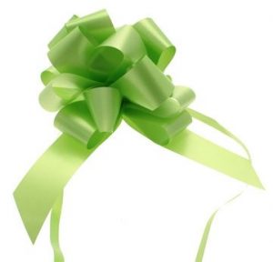 4 inch Pull Bow Light Green 10/pk