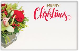 Enclosure Card Merry Christmas 50/pk